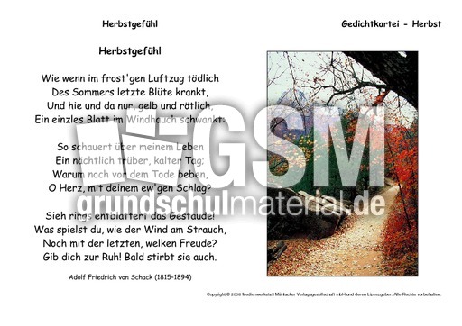 Herbstgefühl-Schack.pdf